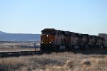 BNSF 8181 East